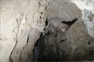 Пећина Бијело Бучје (16)-min