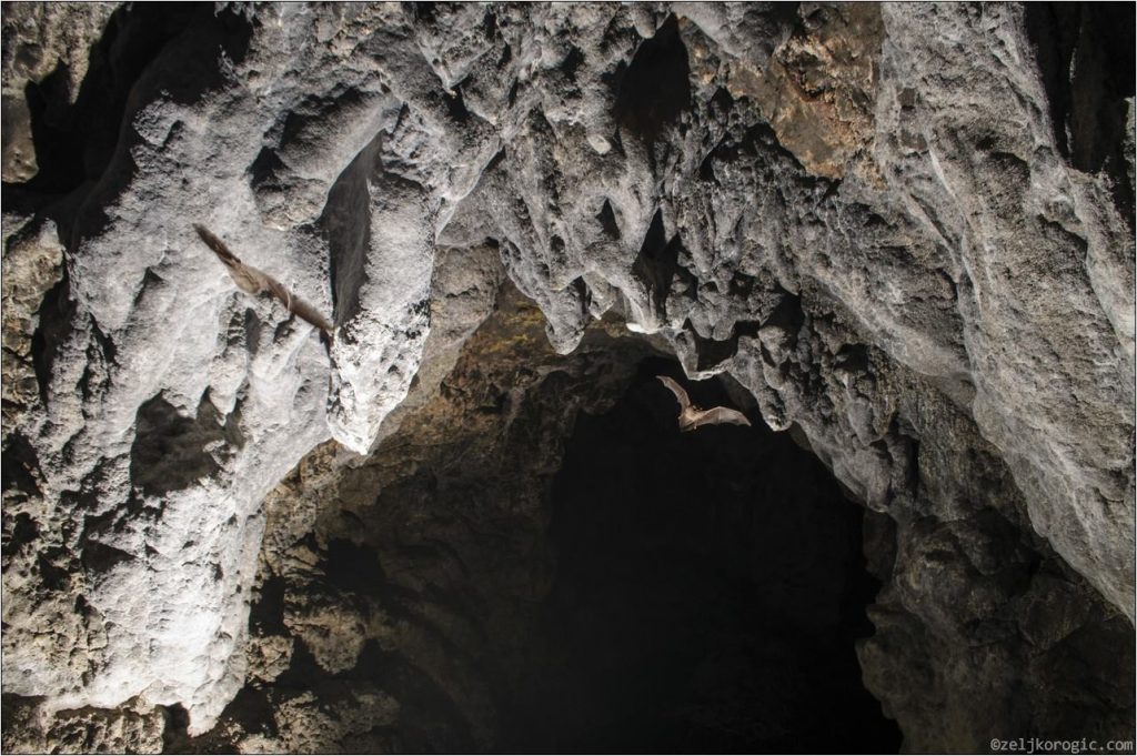 Пећина Бијело Бучје (8)-min
