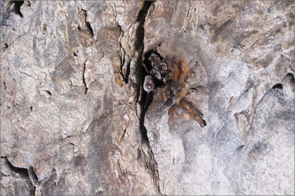 Пећина Бијело Бучје (13)-min